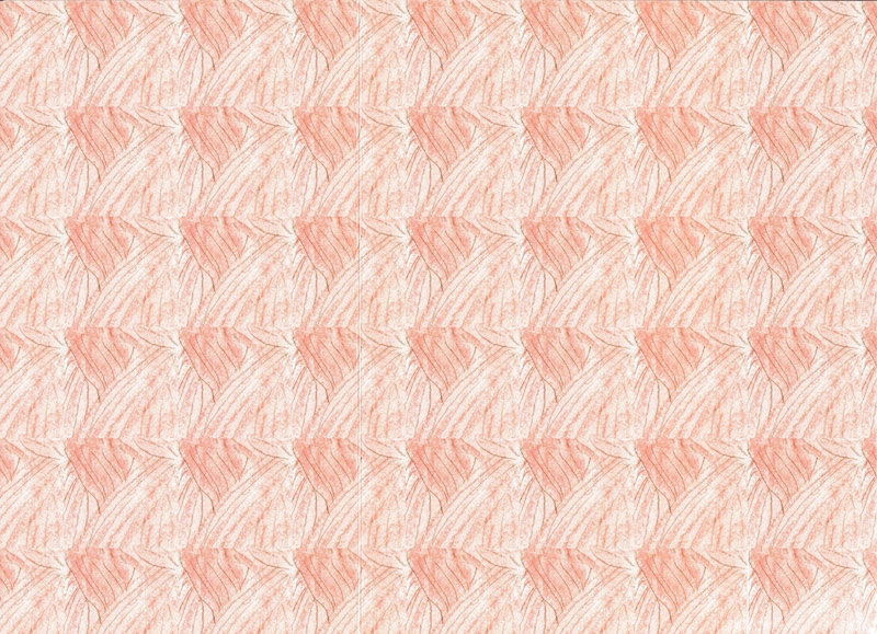 image02